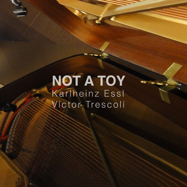 Not a Toy - Cover