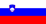 slovenian