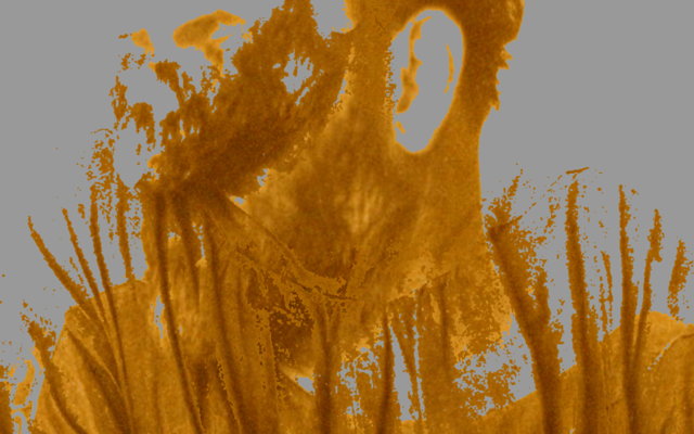FABRIC-GoldKlimt
